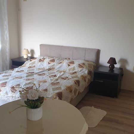 Apartments Kamenjar Novi Sad Pokoj fotografie